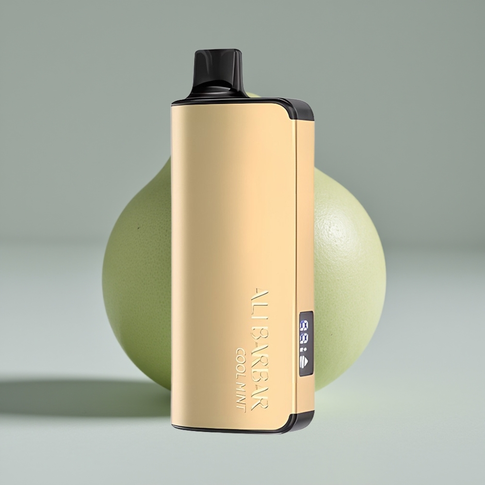 Alibarbar Ingot 9000 Puffs سيجارة إلكترونية للاستخدام مرة واحدة Cool Mint – 22ml E-liquid, 2350mAh Battery, LED Display